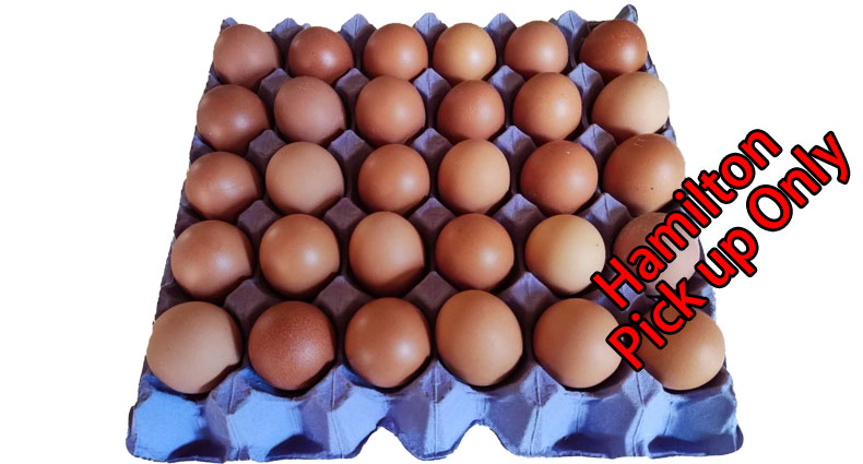 Cage Free Eggs 30pk Size 6